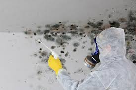 Biohazard Mold Removal in Milton, WI